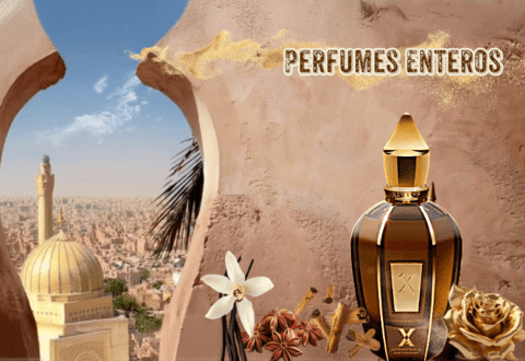 Banner de Elixir  Privé