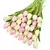 Tulipas buquês de 5/10/20 pçs na internet