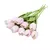 Imagem do Tulipas buquês de 5/10/20 pçs