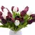 Tulipas buquês de 5/10/20 pçs - comprar online