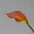 Calla Lírio buquê com 05 cabeças - comprar online