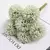 Buquê hortênsias 06 cabeças - comprar online