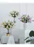 Lisianthus Hidratante buquê com 05 ramos com 3 cabeças na internet