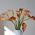 Calla Lírio buquê com 05 cabeças - Casa Tok VIP