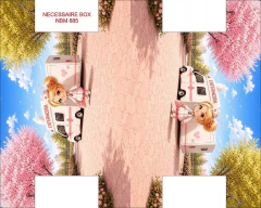 NECESSAIRE BOX CODIGO - NBM 885