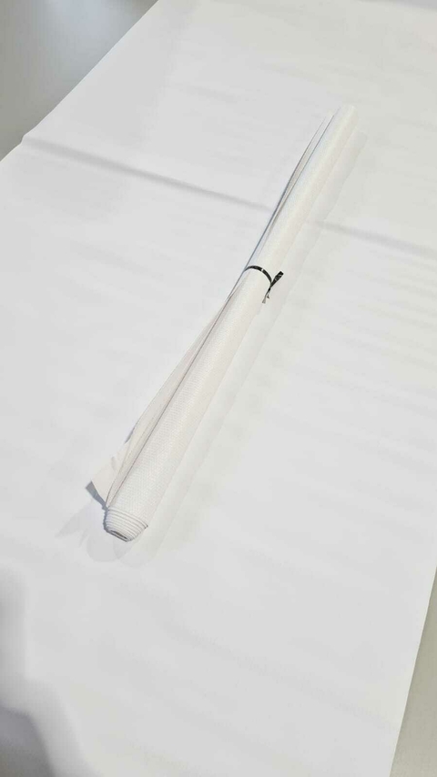 BAGUN BRANCO