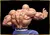 maestro roshi musculoso de 10 cm en internet