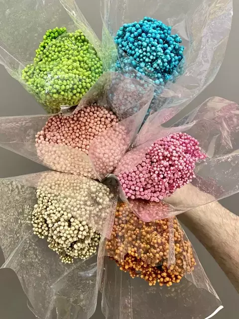 Rice Flower - Preservado