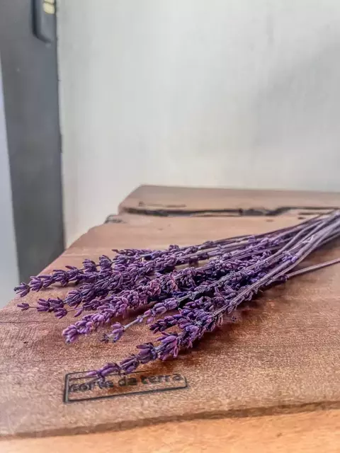 Lavanda Francesa - Preservada
