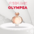 Perfume | Paco Rabanne Olympea 50ml