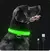 Shiny Pet ® Collar LED + Botella Dispensador Plegable Para Paseos - comprar online