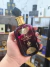 Sabah Al Ward Al Wataniah 100ml Feminino na internet