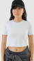 Remera algodón lycra mc lisa (R3) en internet