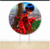 Tela Para Painel Lady Bug - comprar online