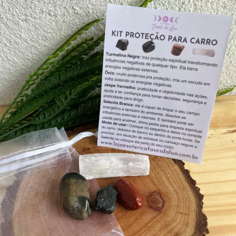 Kit Proteção para o Carro