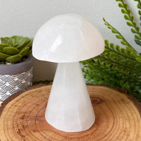 Cogumelo Selenita Branca