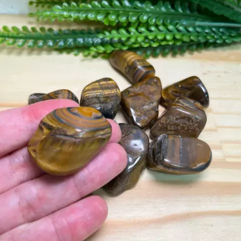 Olho de Tigre - 3,5 a 4,5 cm