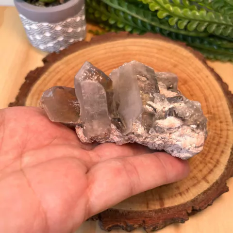 Drusa de Quartzo Fumê - 154 g