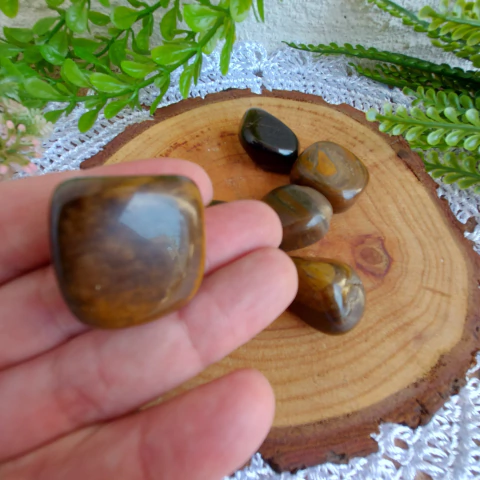 Olho de Tigre - 2,5 a 3,0 cm