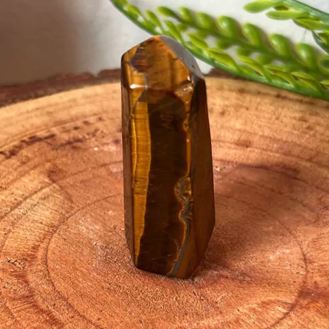 Ponta de Olho de Tigre - 4,0 a 5,0 cm - comprar online