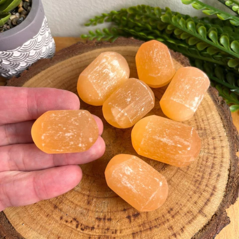Selenita Laranja Polida - Movimento, Criatividade e Limpeza - comprar online