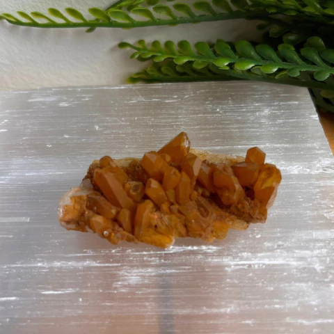 Drusa de Quartzo Tangerina - 32g - comprar online