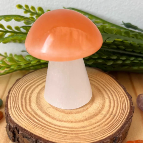 Cogumelo Selenita Branca e Laranja - Pequeno