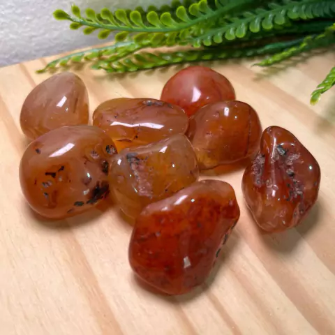 Cornalina - 3,0 a 3,5 cm