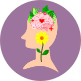 Categoria 4