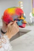 Modelo Anatômico de Crânio Humano Colorido Desmontável em 22 Partes - iDokters na internet