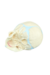 Modelo Anatômico de Crânio Fetal