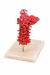 Modelo Anatômico de Coluna Cervical Colorida Tamanho Real c/ Base - iDokters - iDokters 
