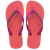 Imagem do HAVAIANAS BRASIL LOGO