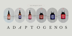 Banner de la categoría HONGOS ADAPTOGENOS