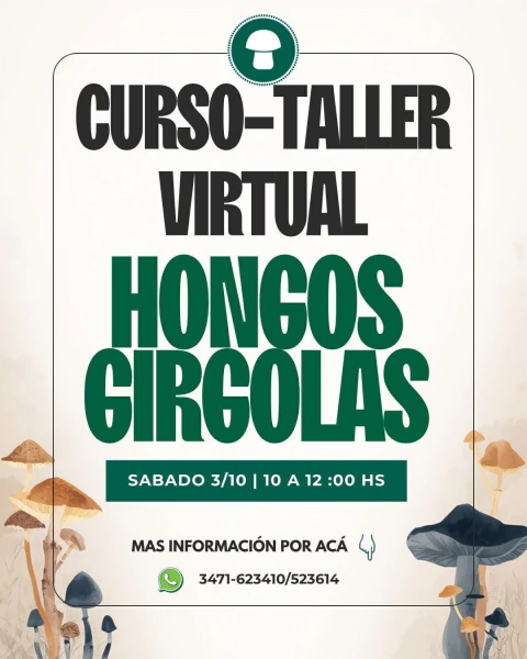 Curso-Talle-Virtual Cultivo de hongos girgolas. Sábado 3 de OCTUBRE de 2026.