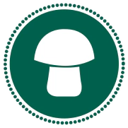 EL HONGUERO