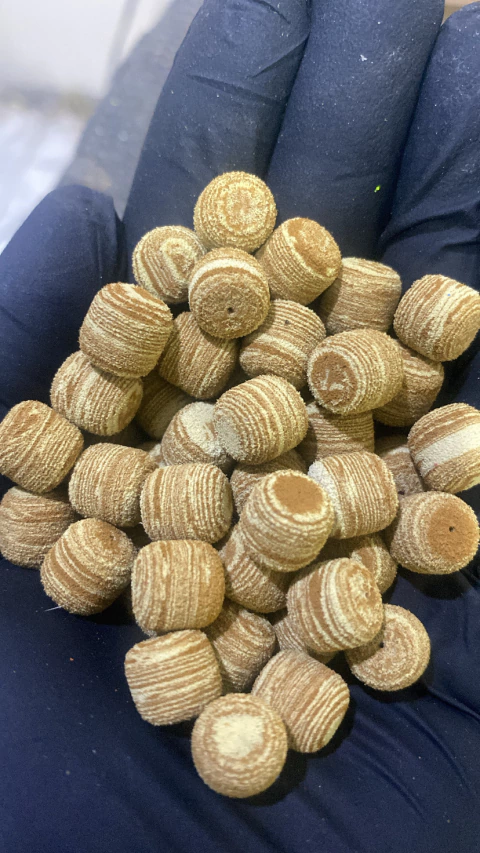 Eva Formato Ração 10 mm - 10 unidades - comprar online