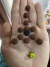 Manhosinho Borboleta 10 MM - Chicote pronto - loja online