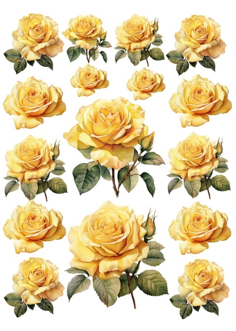 Decalque Hidro Transfer - Flores - Rosas Amarelas - comprar online