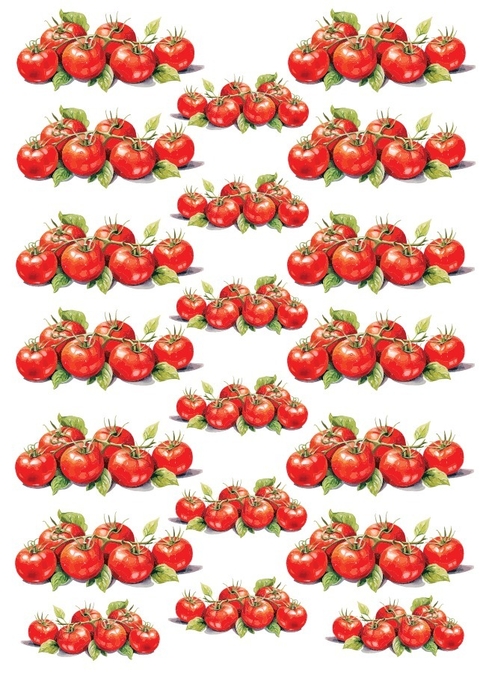 Decalque Hidro Transfer - Tomates - comprar online