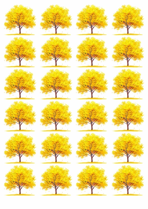 Decalque Hidro Transfer - Árvore Ipê Amarelo - comprar online