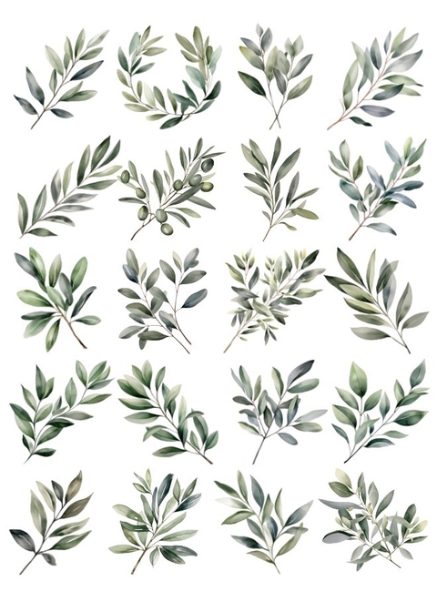Decalque Hidro Transfer - Folhas Oliveiras - comprar online