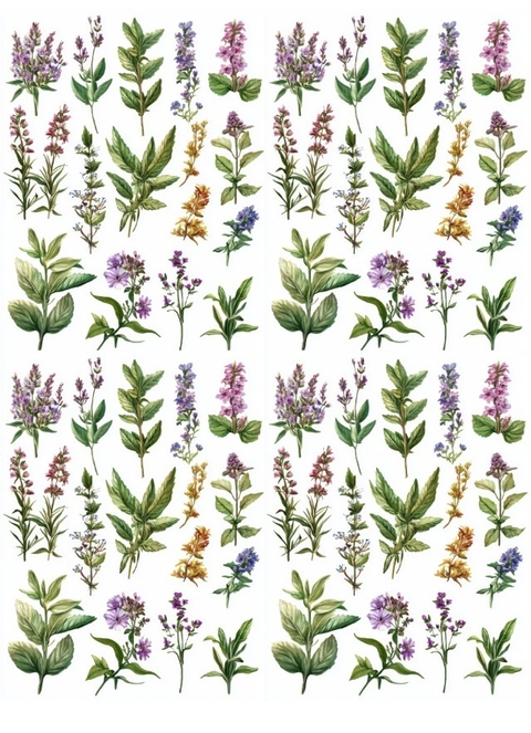 Decalque Hidro Transfer - Ervas folhas e flores - comprar online