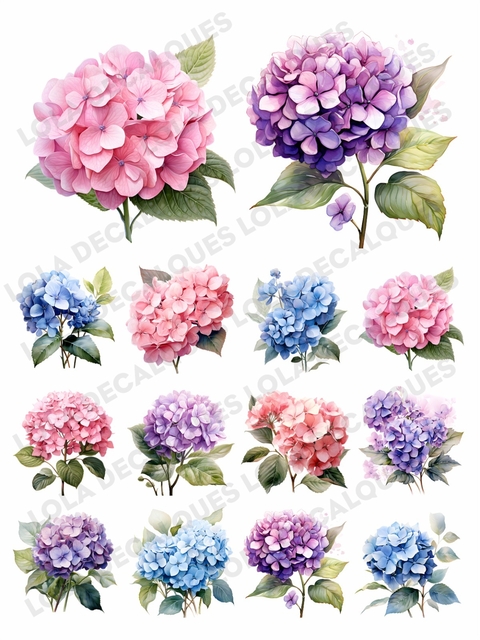 Decalque Hidro Transfer - Flores - Hortênsias - comprar online