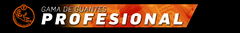 Banner de la categoría Profesional