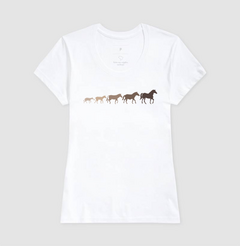Evolução Cavalo - comprar online