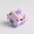 Akko Fairy Switch en internet