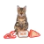 Set de 3 juguetes Friends con catnip - Fygostore