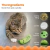 CatStages juguete dental pepino con catnip en internet