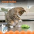 CatStages juguete dental pepino con catnip - Fygostore